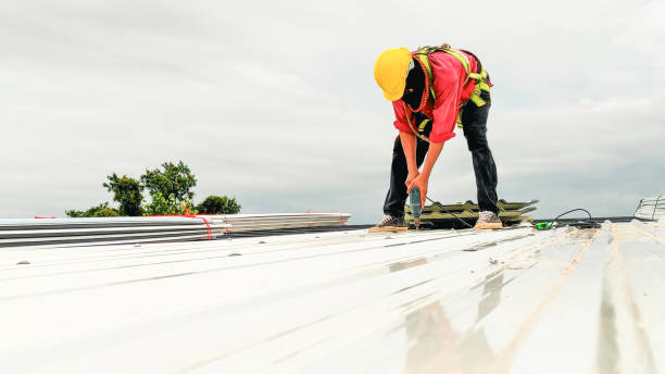 Best Chimney Flashing Repair  in East Lansing, MI