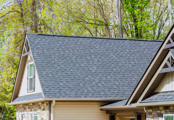 Best Hot Roofs  in East Lansing, MI