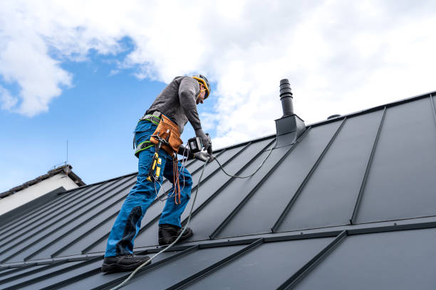 Best Skylight Installation and Repair  in East Lansing, MI