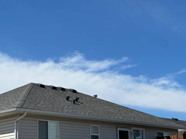 Best Asphalt Shingle Roofing  in East Lansing, MI